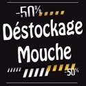 Pêche à la Mouche