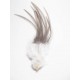 Plumes de Coq Pardo - Lancettes