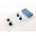 Kit Mouche Emergente n°1 DVX