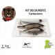 Kit Découverte - Carnassiers - Bear Claws Lures