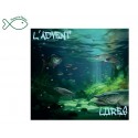 Calendrier de l'Avent - L'Advent'Lures - Multi Carnassiers Humour de Pêcheur