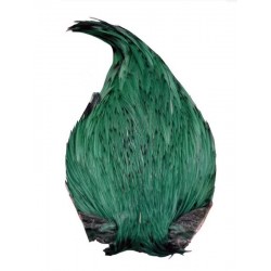 Cou de coq Teint VERT Emeraude - Top Grade DVX