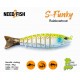 Leurre Dur - S-Funky Rainbow Trout - Need2Fish