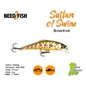 Leurre Dur Coulant - Sultan of Swim Brown Trout - Need2Fish