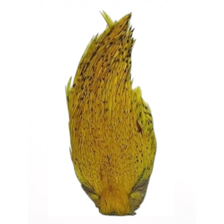 Cou de coq Teint JAUNE - Top Grade DVX