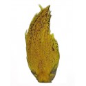 Cou de coq Teint JAUNE - Top Grade DVX