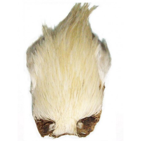 Cou de coq Teint CREME - Top Grade DVX